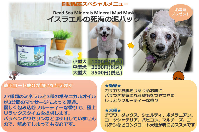 4. 慢性的な背中の痛みを和らげるのに役立ちます